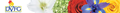 delaware valley floral group