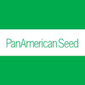 panamerican seed
