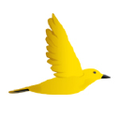 iora health
