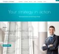 terra firma business consulting