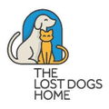 the lost dogs home