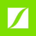 datvietvac group holdings