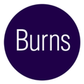 burns levinson llp