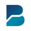 the brattle group