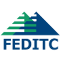feditc federal it consulting