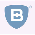 baron budd pc