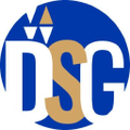 diversified search group