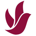 newcomer funeral service group