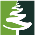 evergreen real estate group