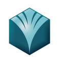 bsf capital
