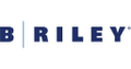 b riley wealth management