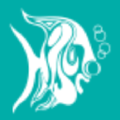 ocean properties hotels resorts and affiliates