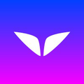 mindvalley