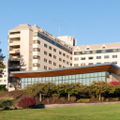 willamette view