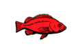 pacific states marine fisheries commission