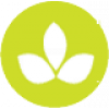 mayesh wholesale florist