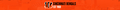 cincinnati bengals