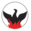 phoenix air group