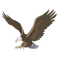 american flyers