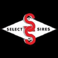 select sires inc