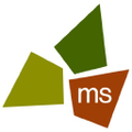 ms consultants inc