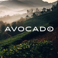 avocado green brands