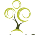 the kindezi schools