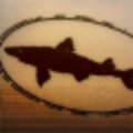 dogfish head