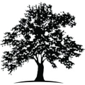 white oak global advisors