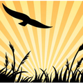 city of eden prairie