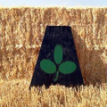 agri service llc