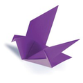 hospice palliative care buffalo