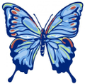 blue ridge hospice