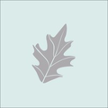 grey oaks country club