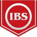ibs electronics group