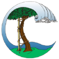 seaview orthopaedic medical associates
