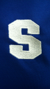 springfield local schools
