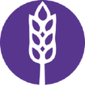 world harvest church