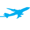 flight services international llc