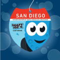 soapy joes inc