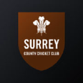 the kia oval surrey county cricket club