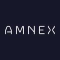 amnex infotechnologies