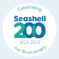 seashell