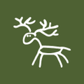 new forest care ltd