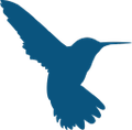 hummingbird resources plc