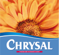 chrysal international bv