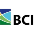 basic chemical industries