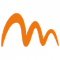 metarom group