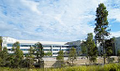 woolworths group international