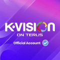 pt digital vision nusantara